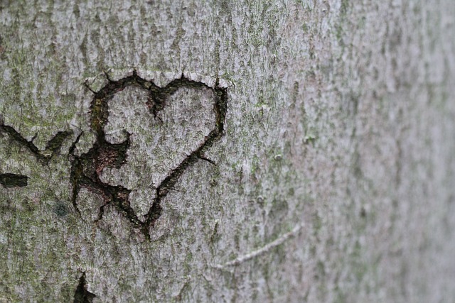 Hjertetræets symbolik: Hvordan det kan skabe harmoni og kærlighed i dit hjem