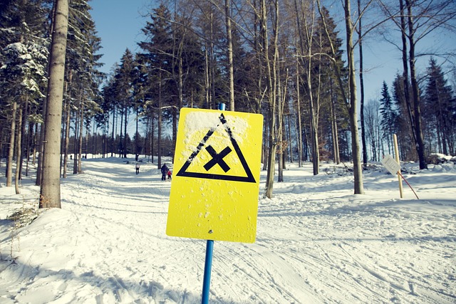 Sådan tilpasses skiferien efter dine ønsker hos rejsebureauet
